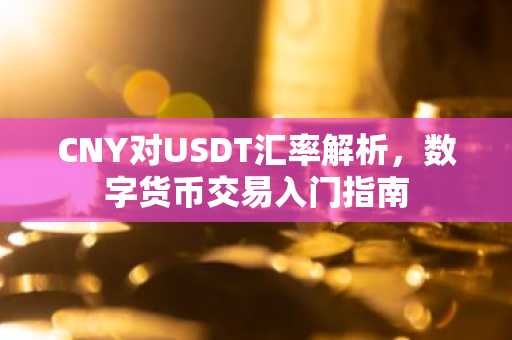 CNY对USDT汇率解析，数字货币交易入门指南