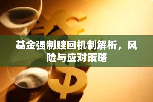 基金强制赎回机制解析，风险与应对策略