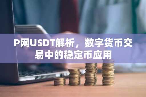 P网USDT解析，数字货币交易中的稳定币应用