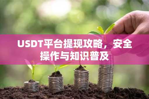 USDT平台提现攻略，安全操作与知识普及