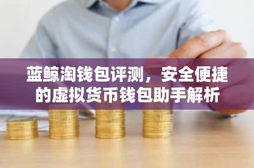 蓝鲸淘钱包评测，安全便捷的虚拟货币钱包助手解析