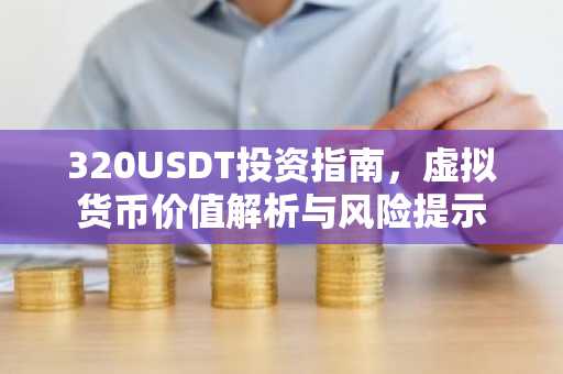 320USDT投资指南，虚拟货币价值解析与风险提示
