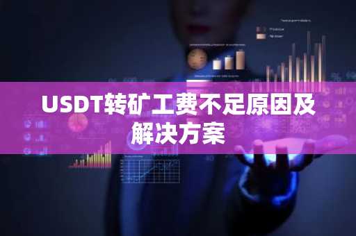 USDT转矿工费不足原因及解决方案