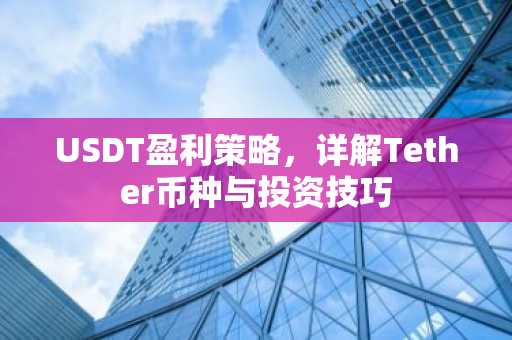 USDT盈利策略，详解Tether币种与投资技巧