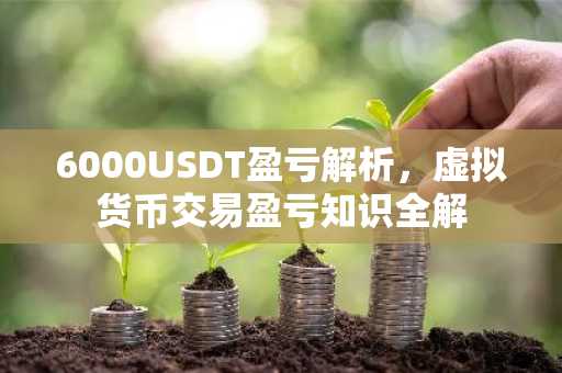 6000USDT盈亏解析，虚拟货币交易盈亏知识全解