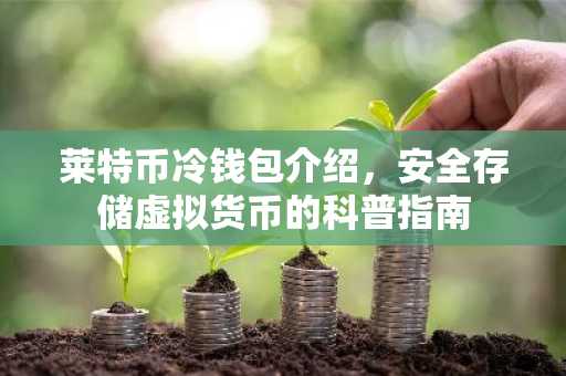 莱特币冷钱包介绍，安全存储虚拟货币的科普指南