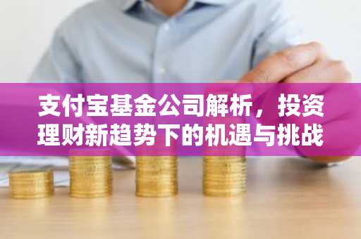 支付宝基金公司解析，投资理财新趋势下的机遇与挑战