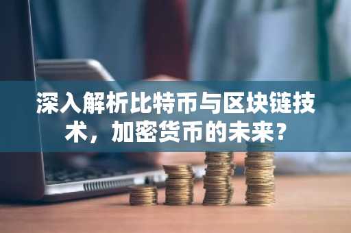 深入解析比特币与区块链技术，加密货币的未来？