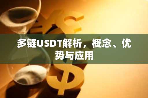 多链USDT解析，概念、优势与应用