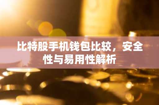 比特股手机钱包比较，安全性与易用性解析