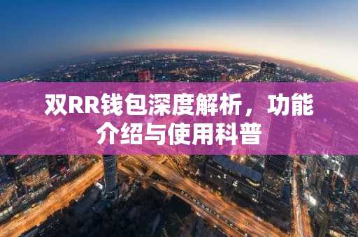 双RR钱包深度解析，功能介绍与使用科普