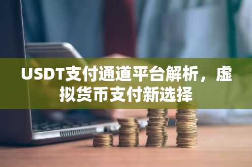 USDT支付通道平台解析，虚拟货币支付新选择