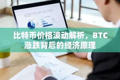 比特币价格波动解析，BTC涨跌背后的经济原理