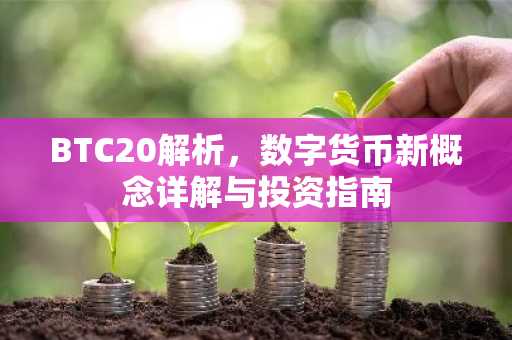 BTC20解析，数字货币新概念详解与投资指南
