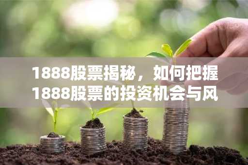 1888股票揭秘，如何把握1888股票的投资机会与风险