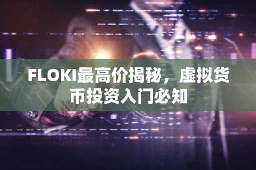 FLOKI最高价揭秘，虚拟货币投资入门必知