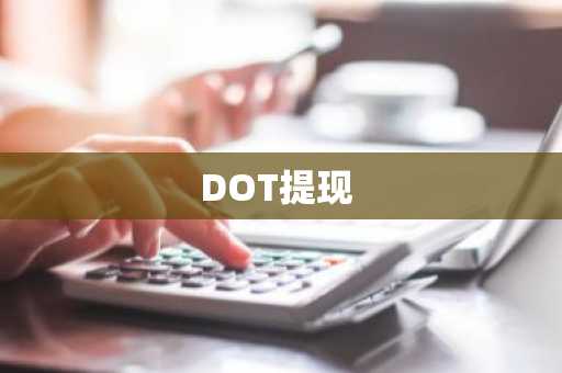 DOT提现