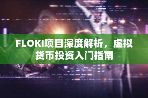 FLOKI项目深度解析，虚拟货币投资入门指南