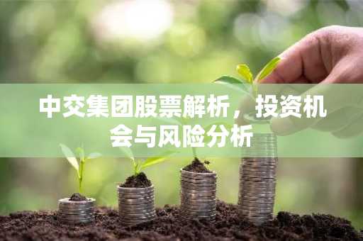 中交集团股票解析，投资机会与风险分析