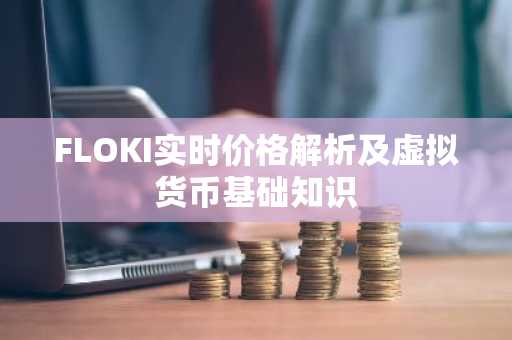 FLOKI实时价格解析及虚拟货币基础知识