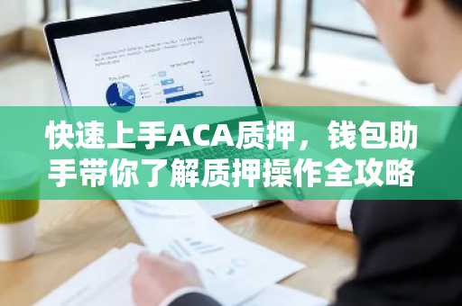 快速上手ACA质押，钱包助手带你了解质押操作全攻略