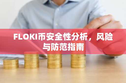 FLOKI币安全性分析，风险与防范指南