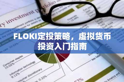 FLOKI定投策略，虚拟货币投资入门指南