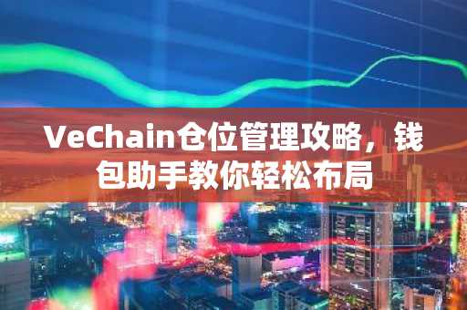 VeChain仓位管理攻略，钱包助手教你轻松布局