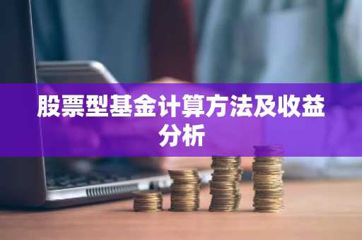 股票型基金计算方法及收益分析