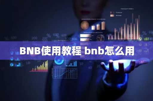 BNB使用教程 bnb怎么用