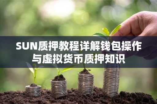 SUN质押教程详解钱包操作与虚拟货币质押知识