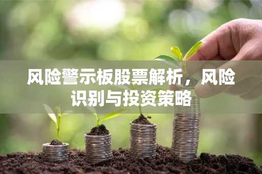 风险警示板股票解析，风险识别与投资策略