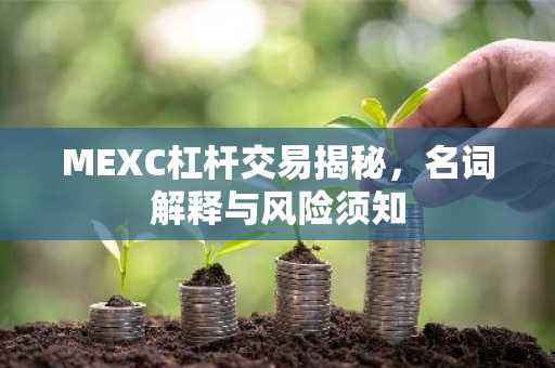 MEXC杠杆交易揭秘，名词解释与风险须知