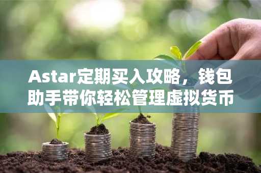Astar定期买入攻略，钱包助手带你轻松管理虚拟货币