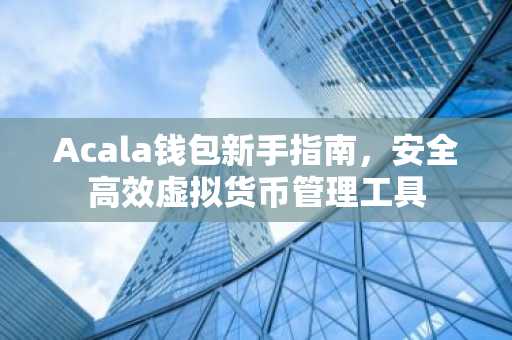 Acala钱包新手指南，安全高效虚拟货币管理工具