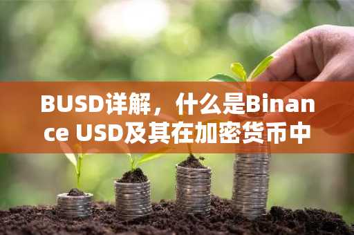BUSD详解，什么是Binance USD及其在加密货币中的应用