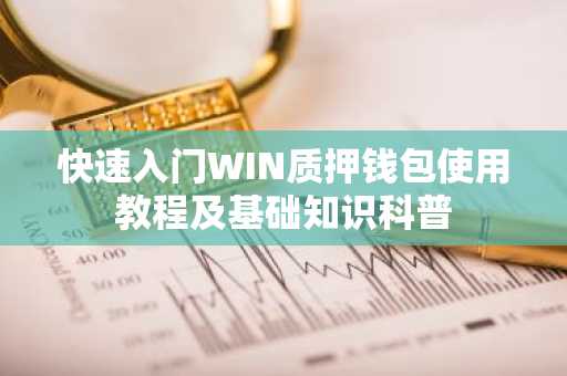 快速入门WIN质押钱包使用教程及基础知识科普