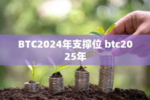 BTC2024年支撑位 btc2025年