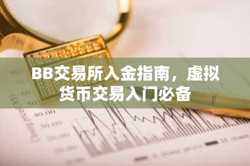 BB交易所入金指南，虚拟货币交易入门必备