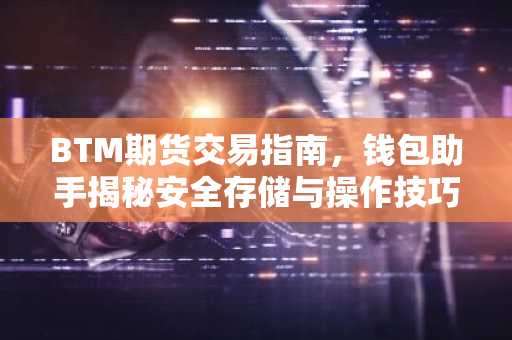 BTM期货交易指南，钱包助手揭秘安全存储与操作技巧