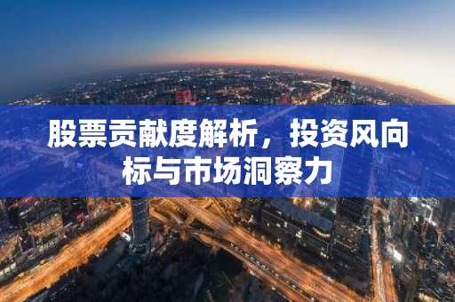 股票贡献度解析，投资风向标与市场洞察力