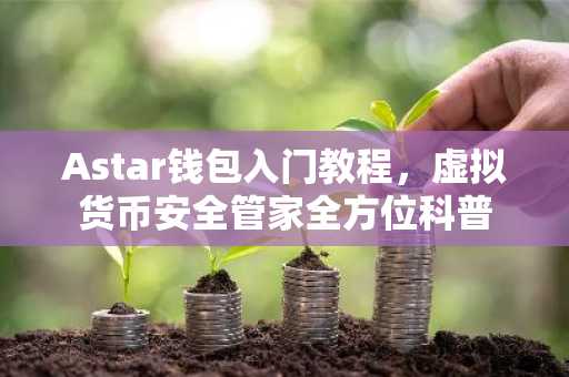 Astar钱包入门教程，虚拟货币安全管家全方位科普