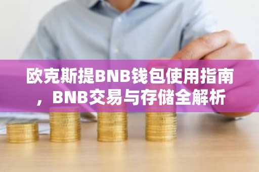 欧克斯提BNB钱包使用指南，BNB交易与存储全解析