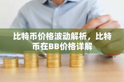 比特币价格波动解析，比特币在BB价格详解