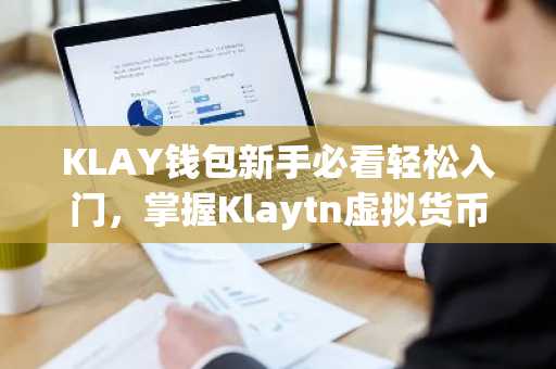 KLAY钱包新手必看轻松入门，掌握Klaytn虚拟货币钱包使用技巧