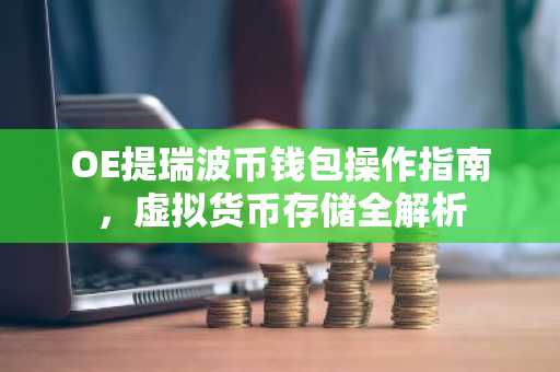 OE提瑞波币钱包操作指南，虚拟货币存储全解析