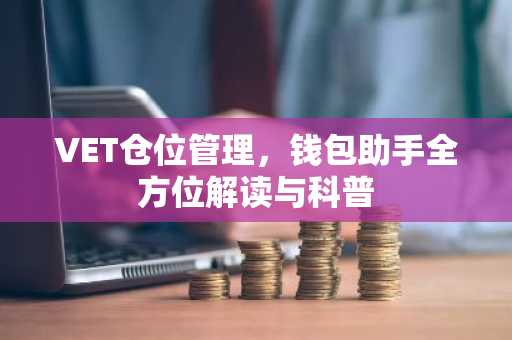 VET仓位管理，钱包助手全方位解读与科普