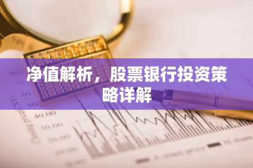 净值解析，股票银行投资策略详解