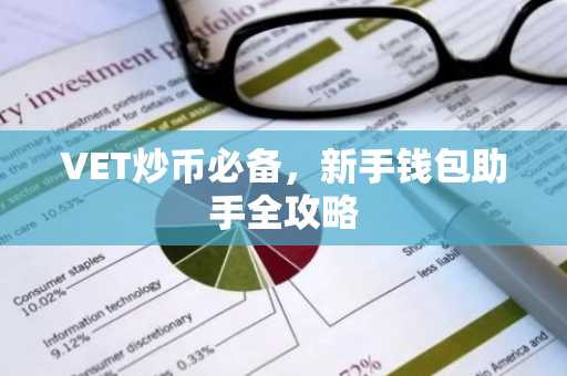 VET炒币必备，新手钱包助手全攻略
