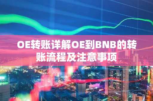 OE转账详解OE到BNB的转账流程及注意事项